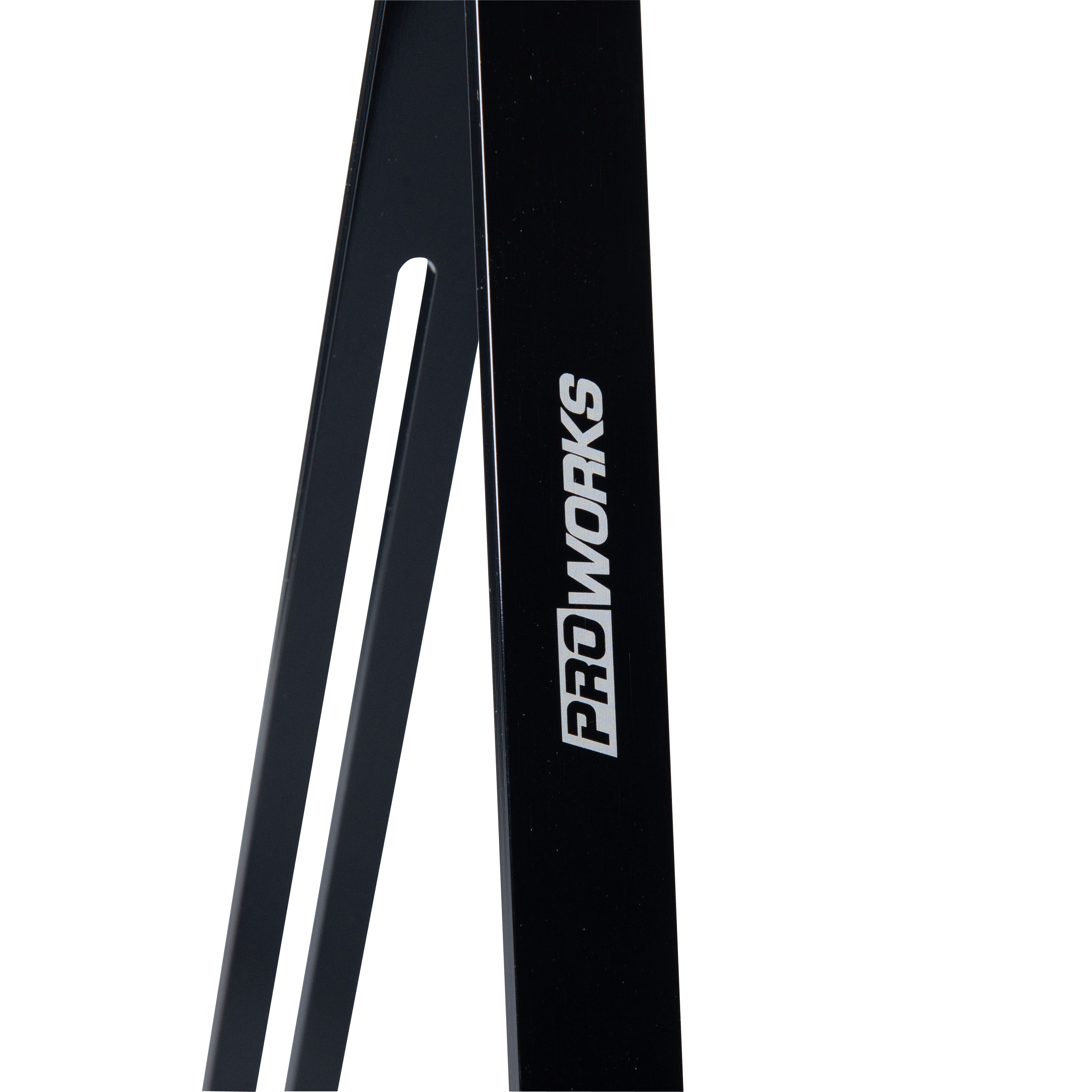 Proworks Sag Scale