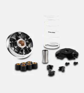 Rollervariomatik Malossi Multivar 2000
