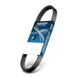 Dayco Standaard Distributieriem