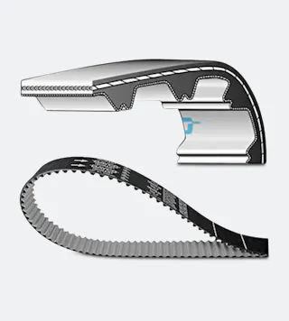 Hammasrihm Dayco Scooter Standard