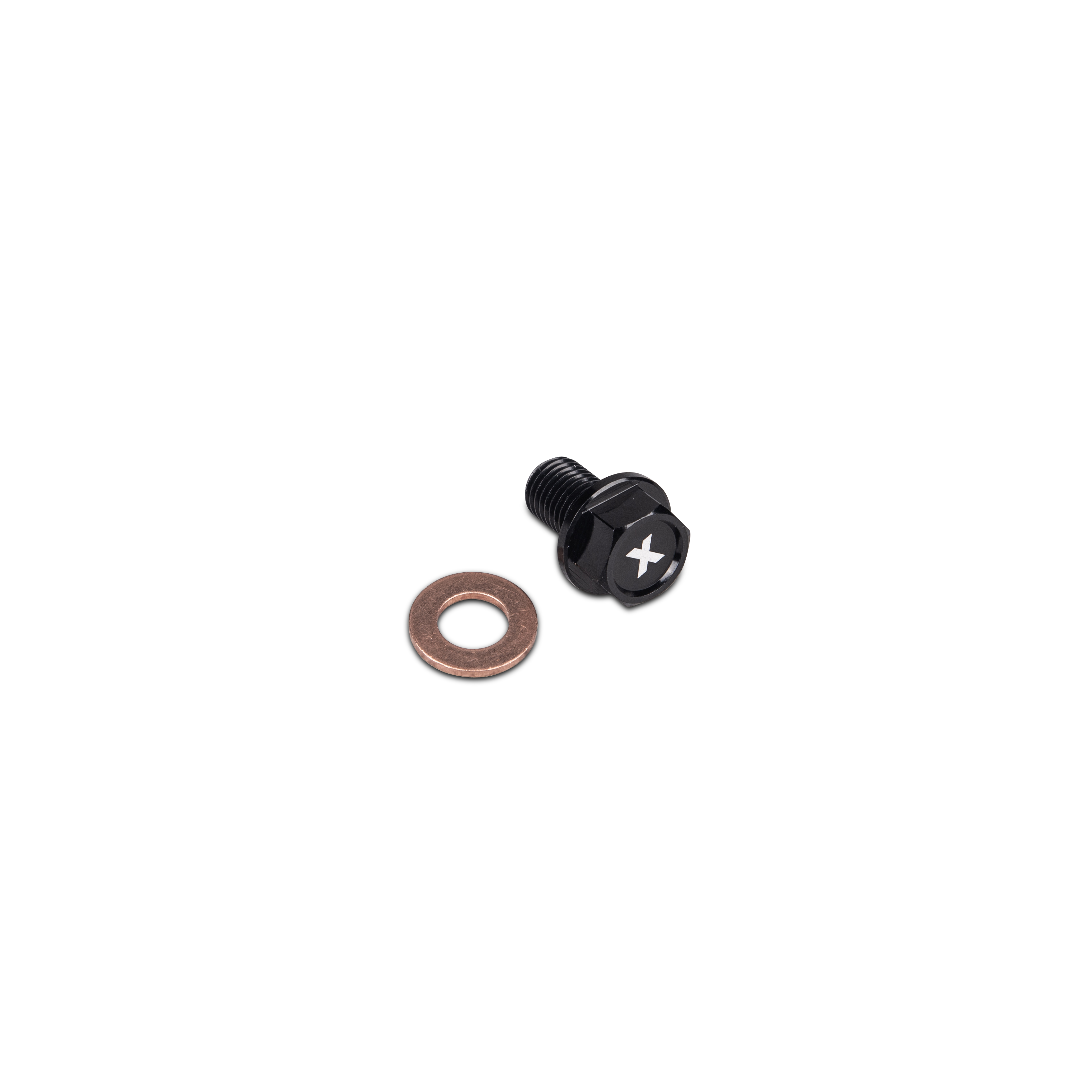 Magnetische Olietap Bout Proworks 