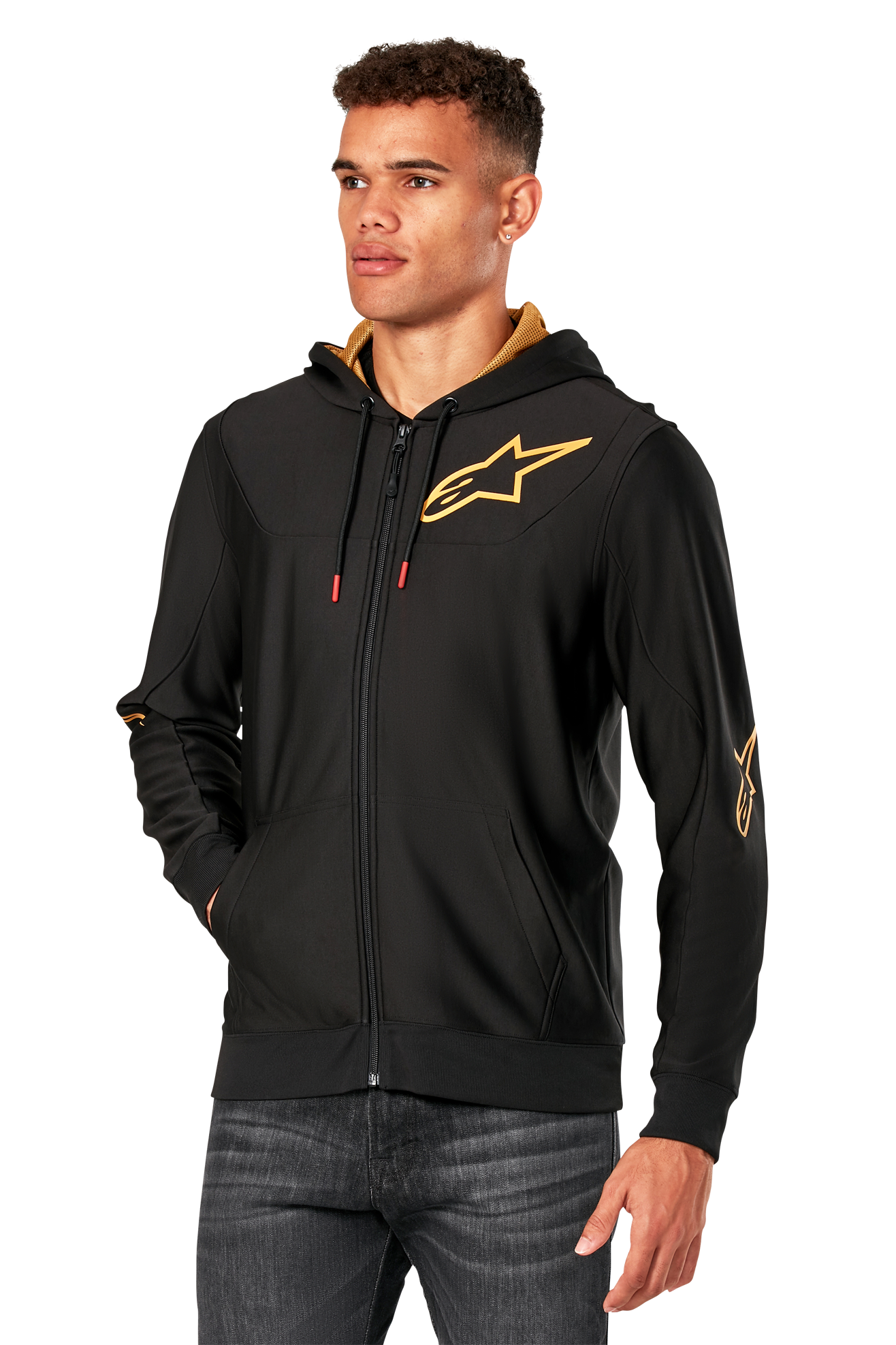 Hoodie Alpinestars Sessions V3