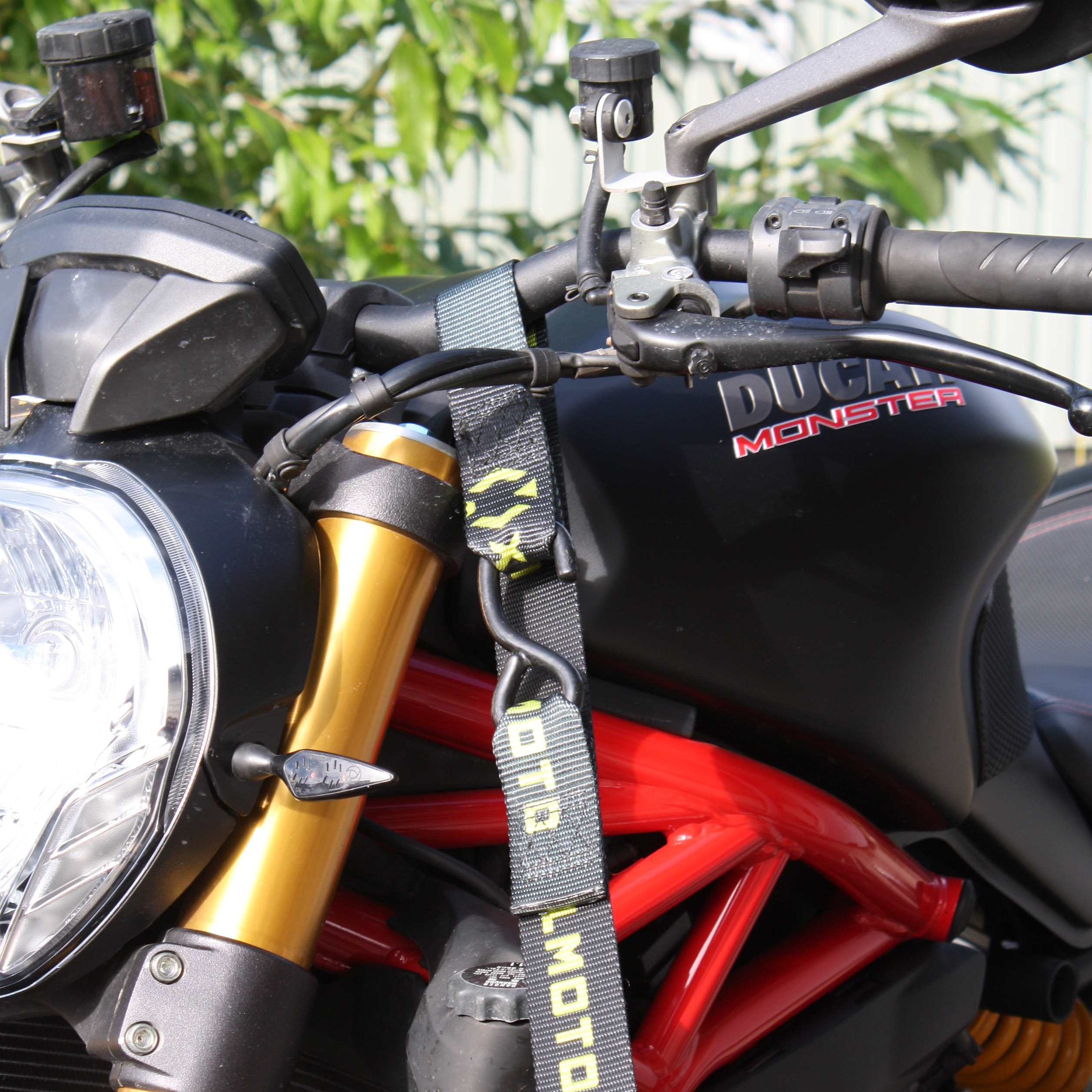 XLMOTO Pull-Up Straps