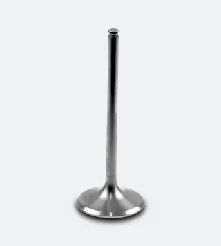 Athena Titanium Intake Valves