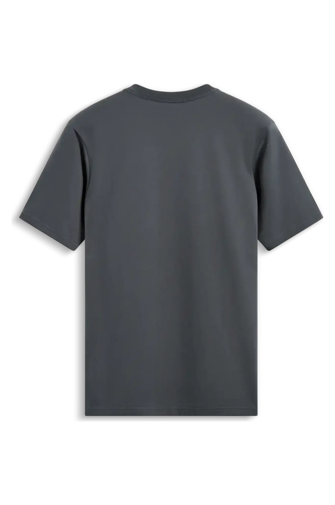 Camiseta Alpinestars Waving CSF