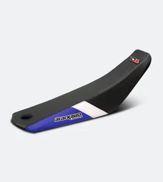 Zadelhoes Blackbird Dream 4