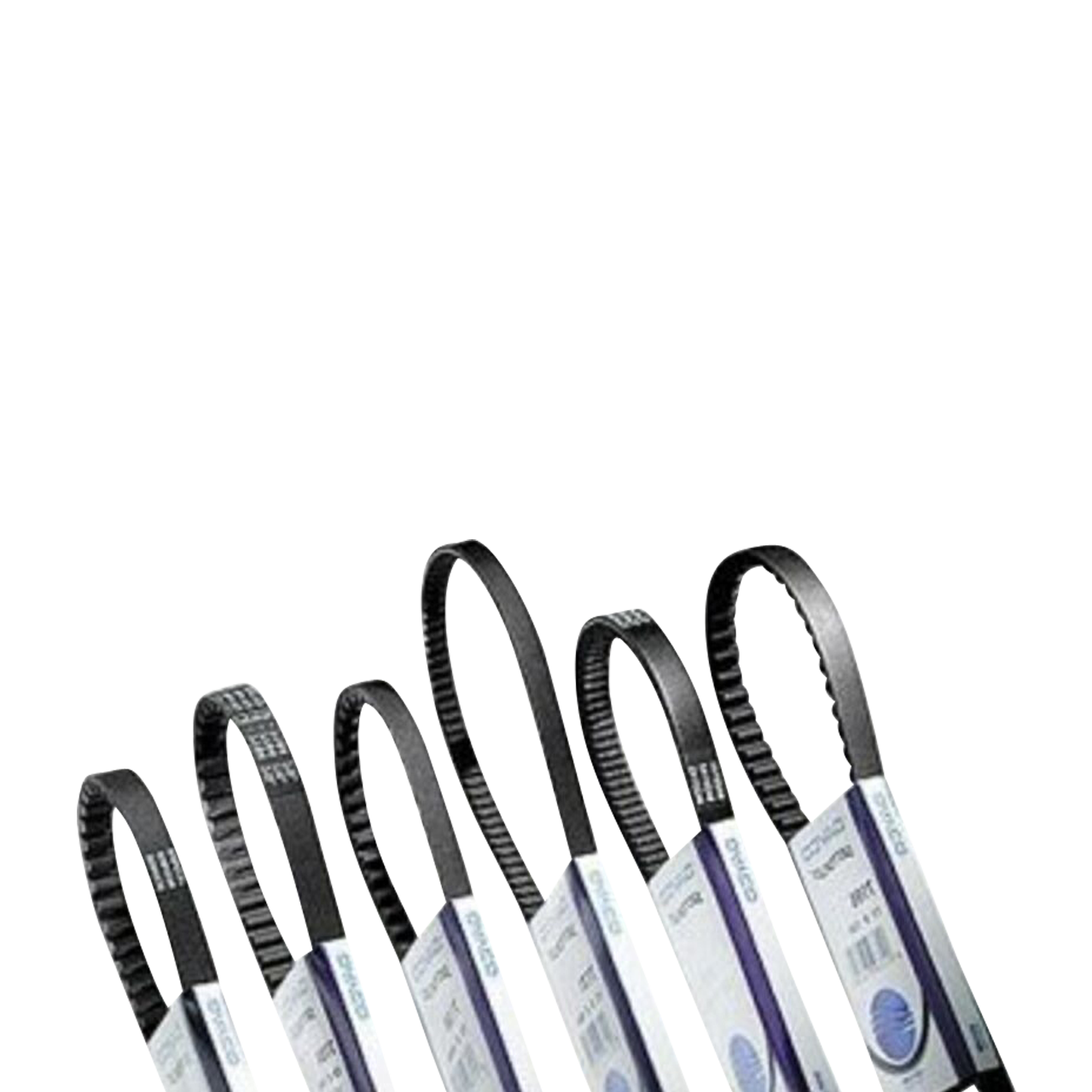 Pas Menjalnika Za Skuter Dayco Standard