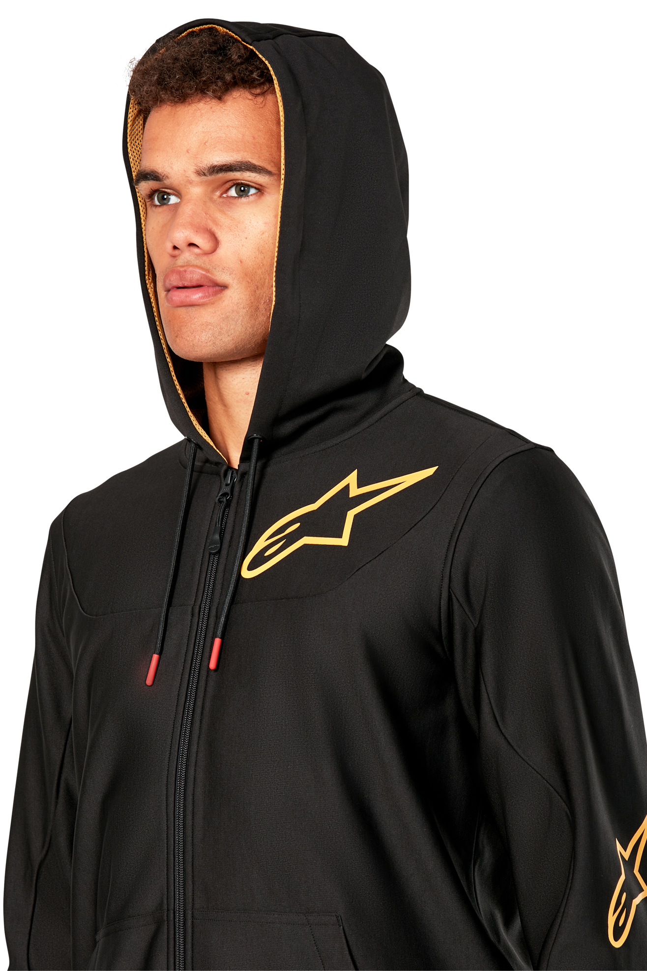 Hoodie Alpinestars Sessions V3