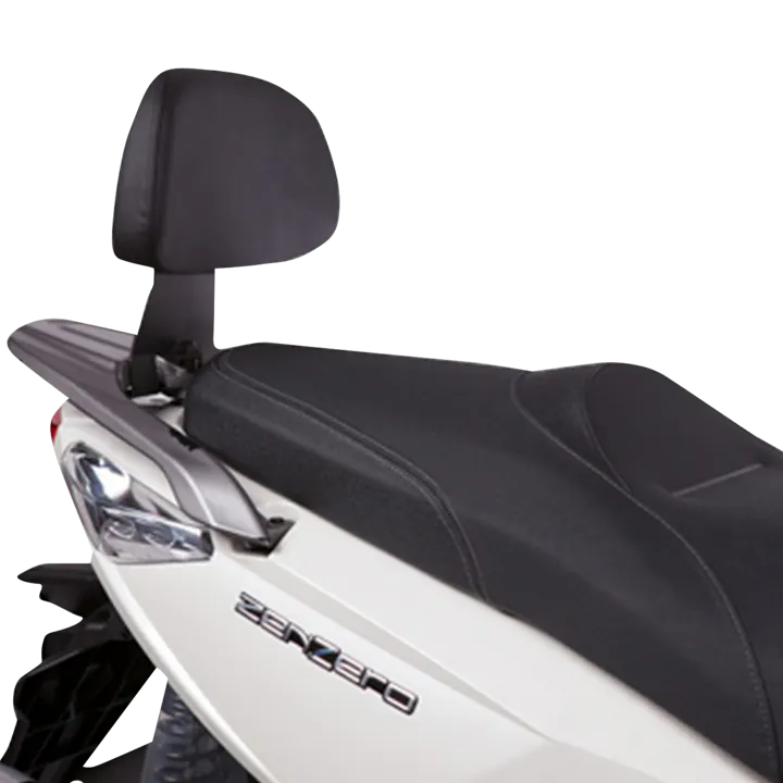 Rugsteun Montageset Shad Scooter Passagier