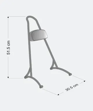 CustomAcces Wild Sissy Bar Black