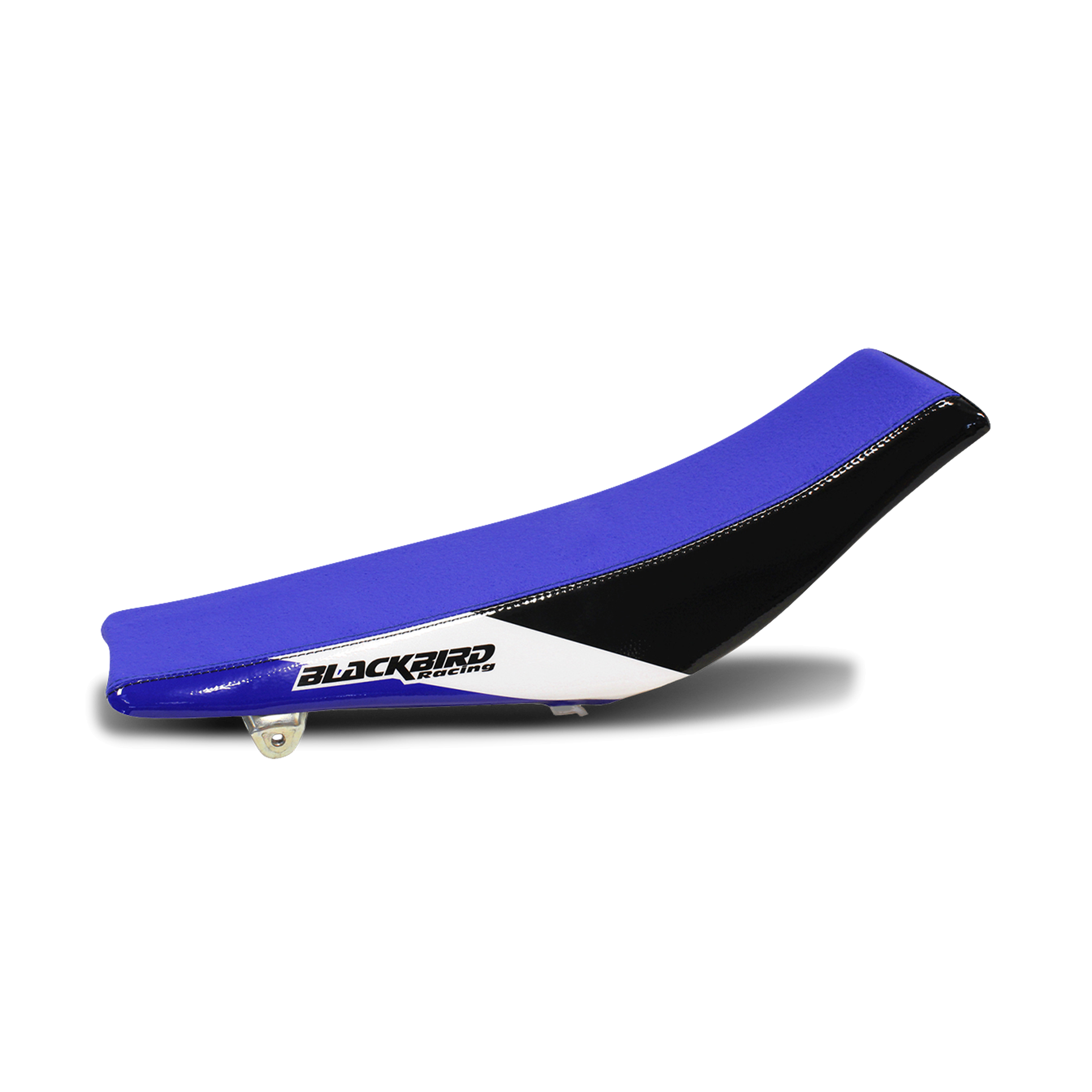 Zadelhoes Blackbird Dream 3