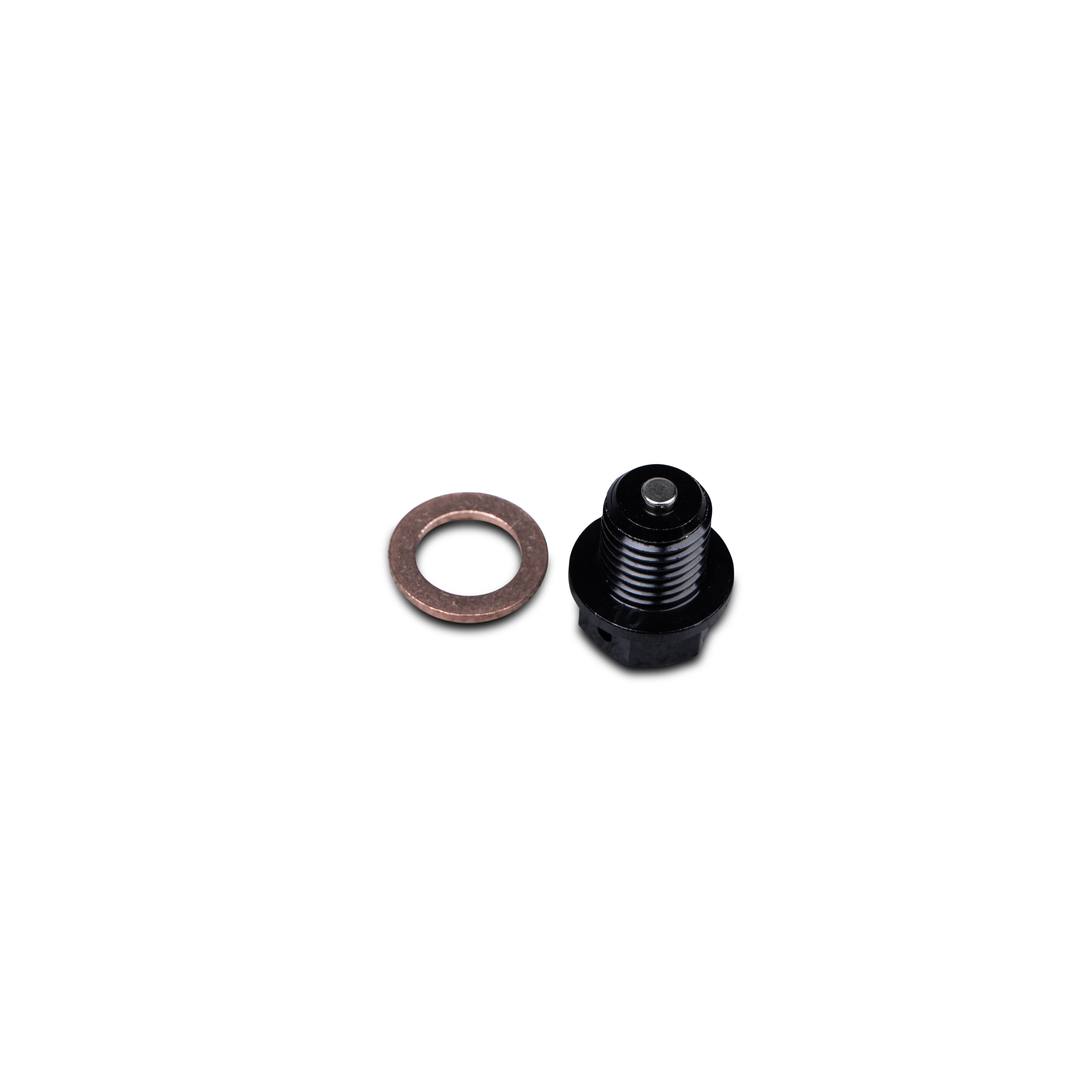 Magnetische Olietap Bout Proworks 