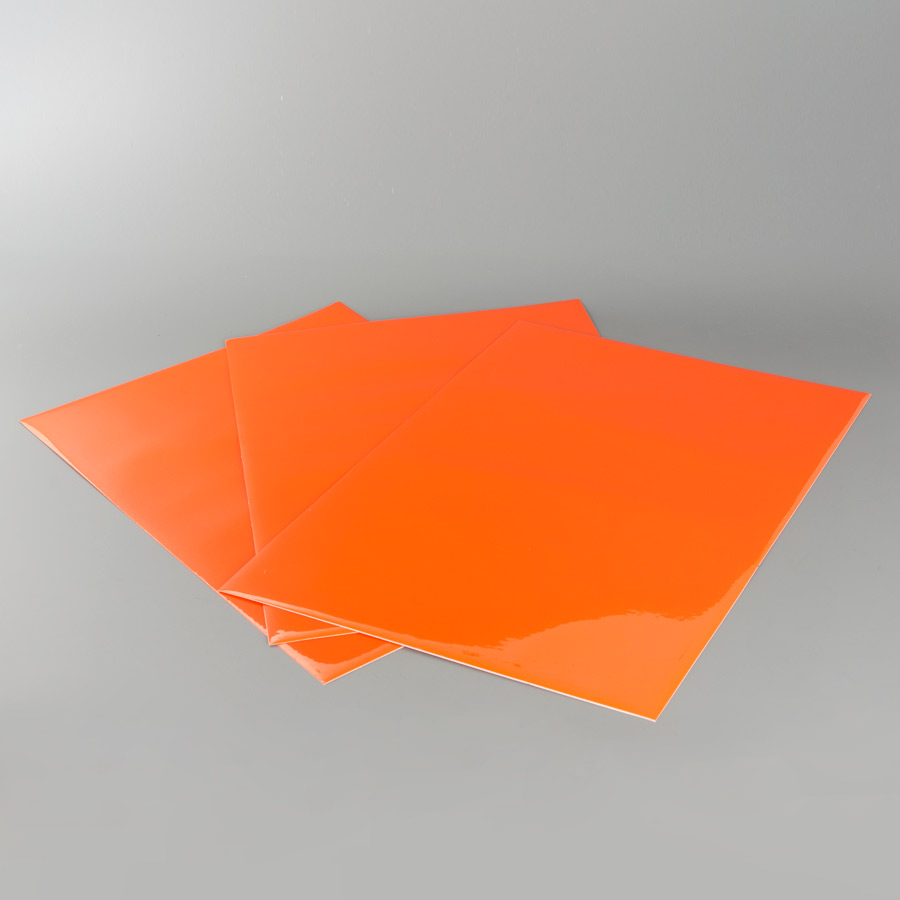 Blackbird Plastic Protection Decal