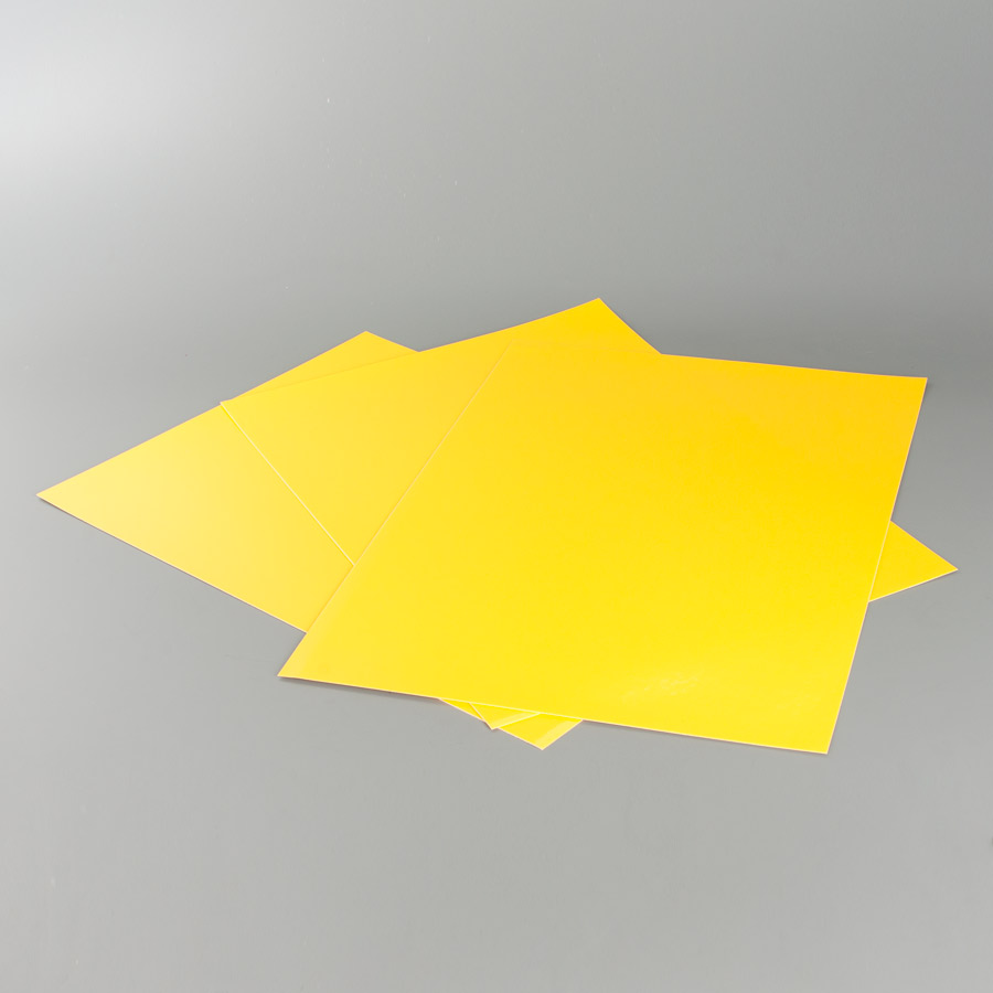 Blackbird Plastic Protection Decal