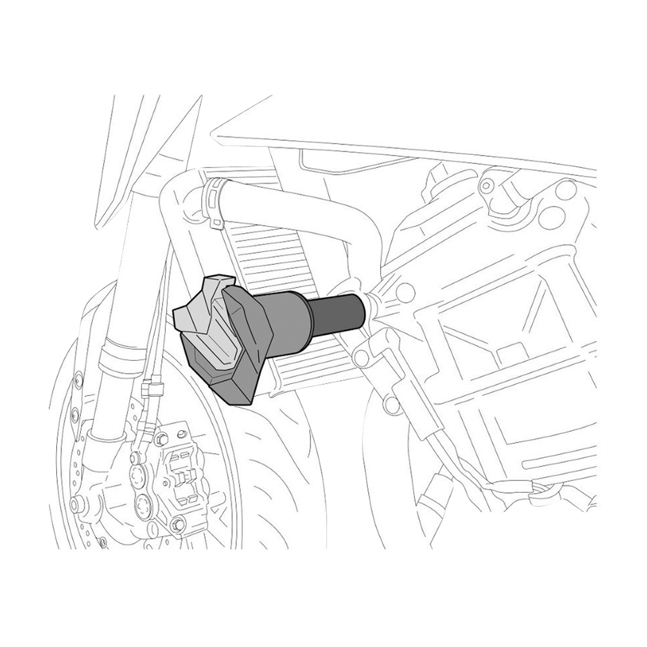 Puig R19 Frame Sliders