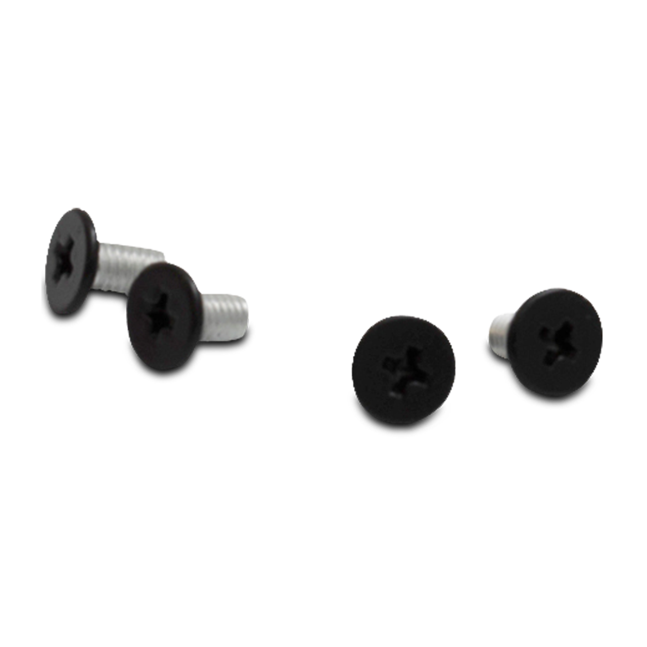iXS 1100 Visor Screws