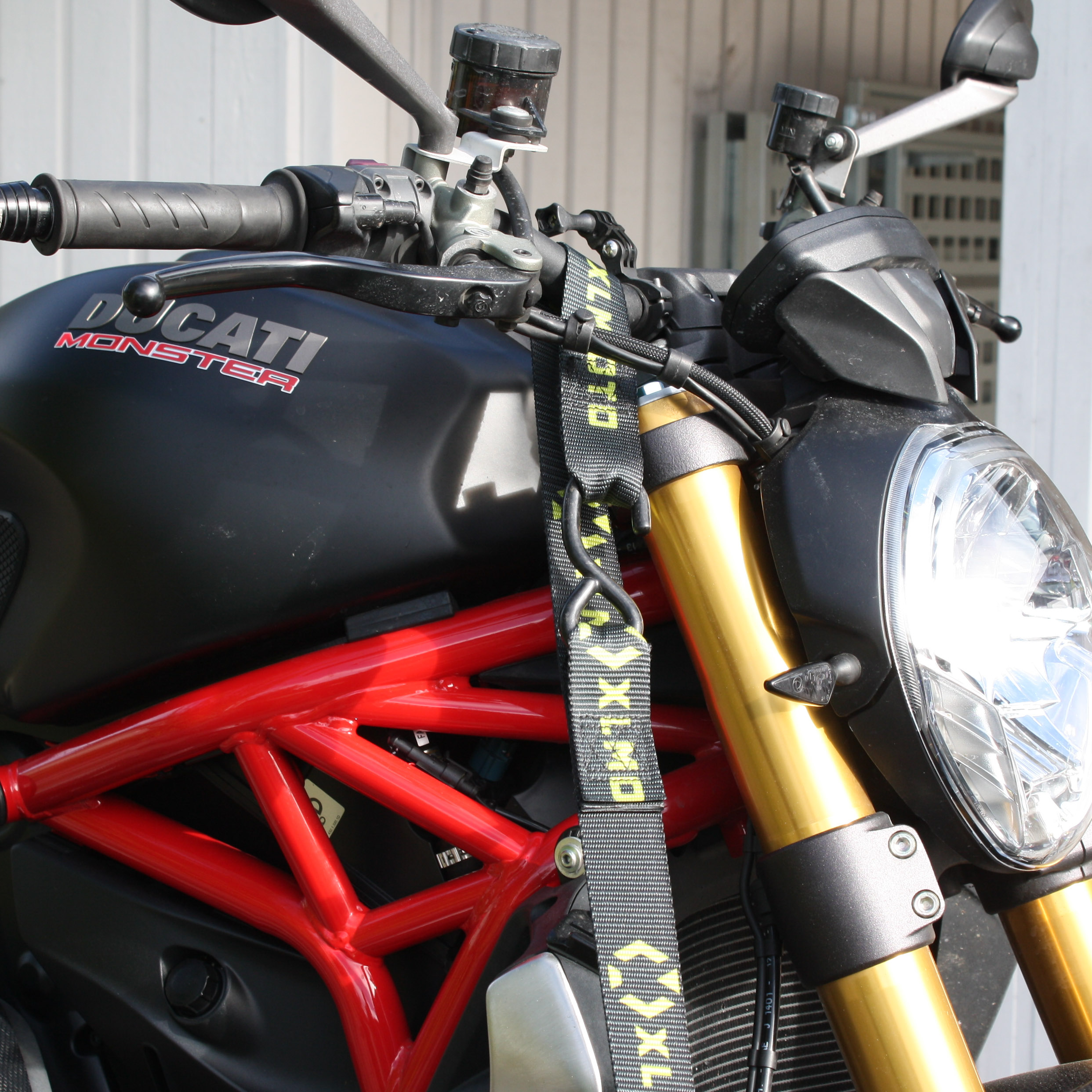 XLMOTO Pull-Up Straps