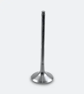 Athena Titanium Exhaust Valves