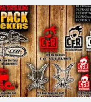 Cheetah Factory Racing 12pack Decals