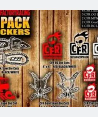 Cheetah Factory Racing 12pack Decals