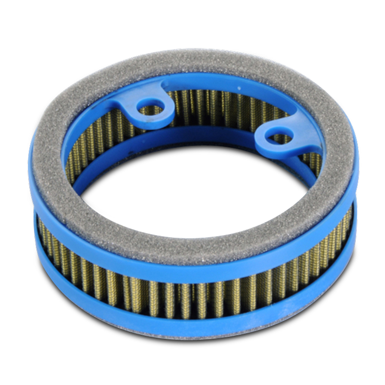 Filtru De Aer Polini Variator