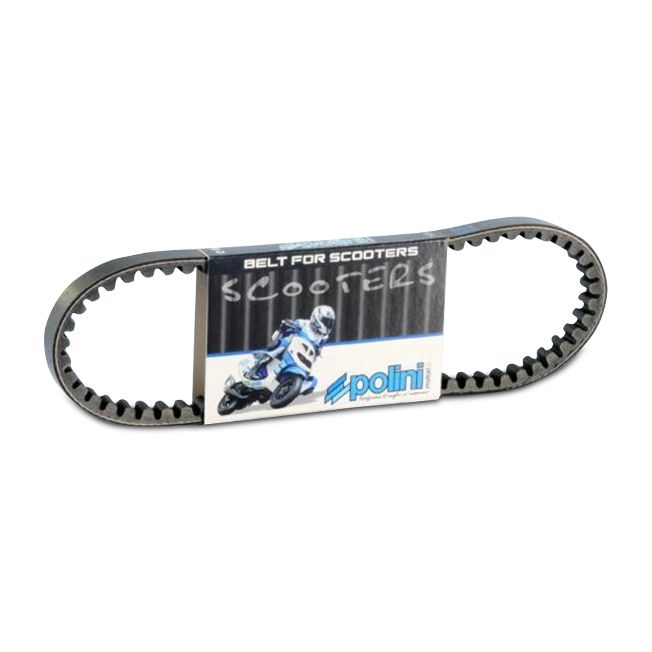 Polini Scooter Standard Transmission Belt
