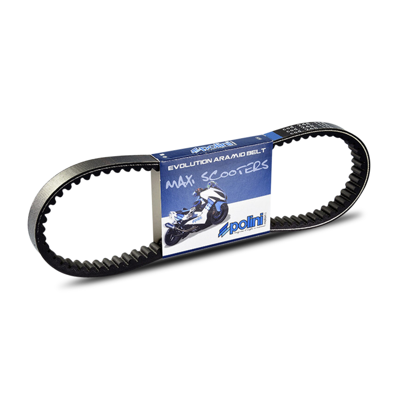 Polini Scooter Transmission Belt