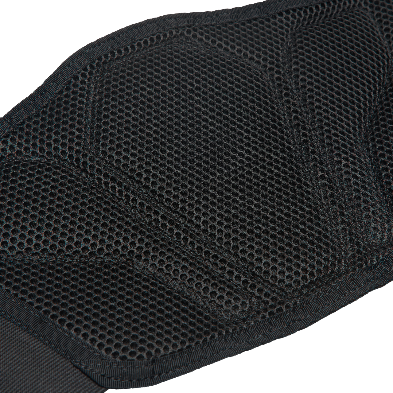 FOX Titan Sport Belt