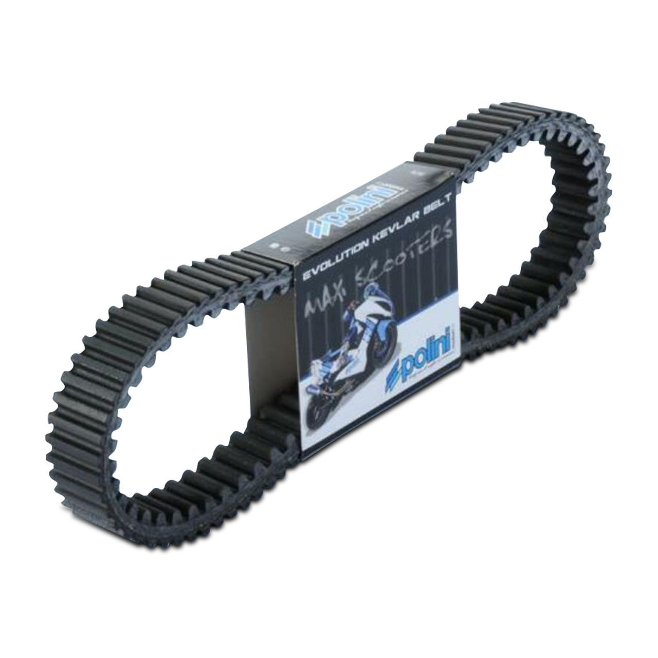 Polini Kevlar Reinforced Transmission Belt