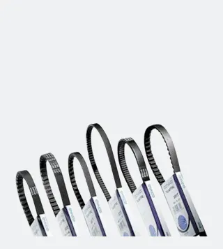 Variaatoririhm Dayco Roller Standard