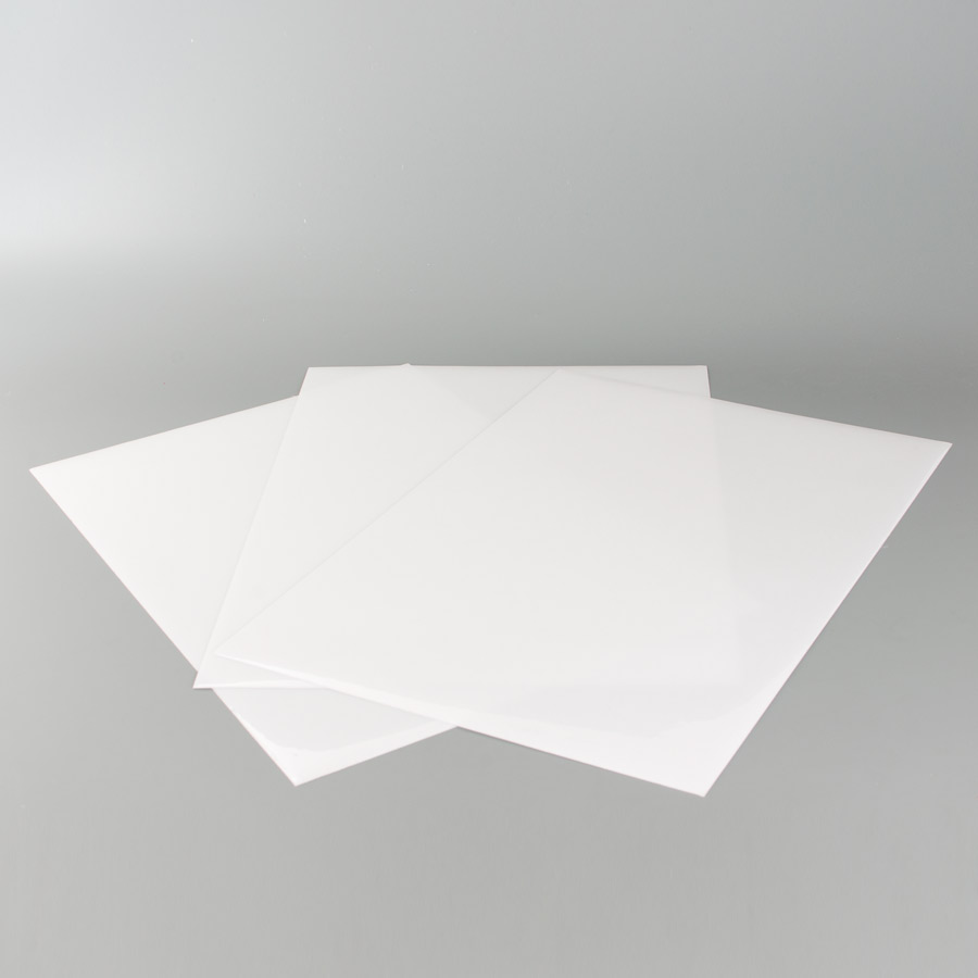 Blackbird Plastic Protection Decal