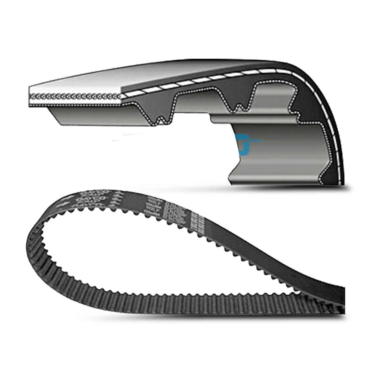 Dayco Standaard Distributieriem