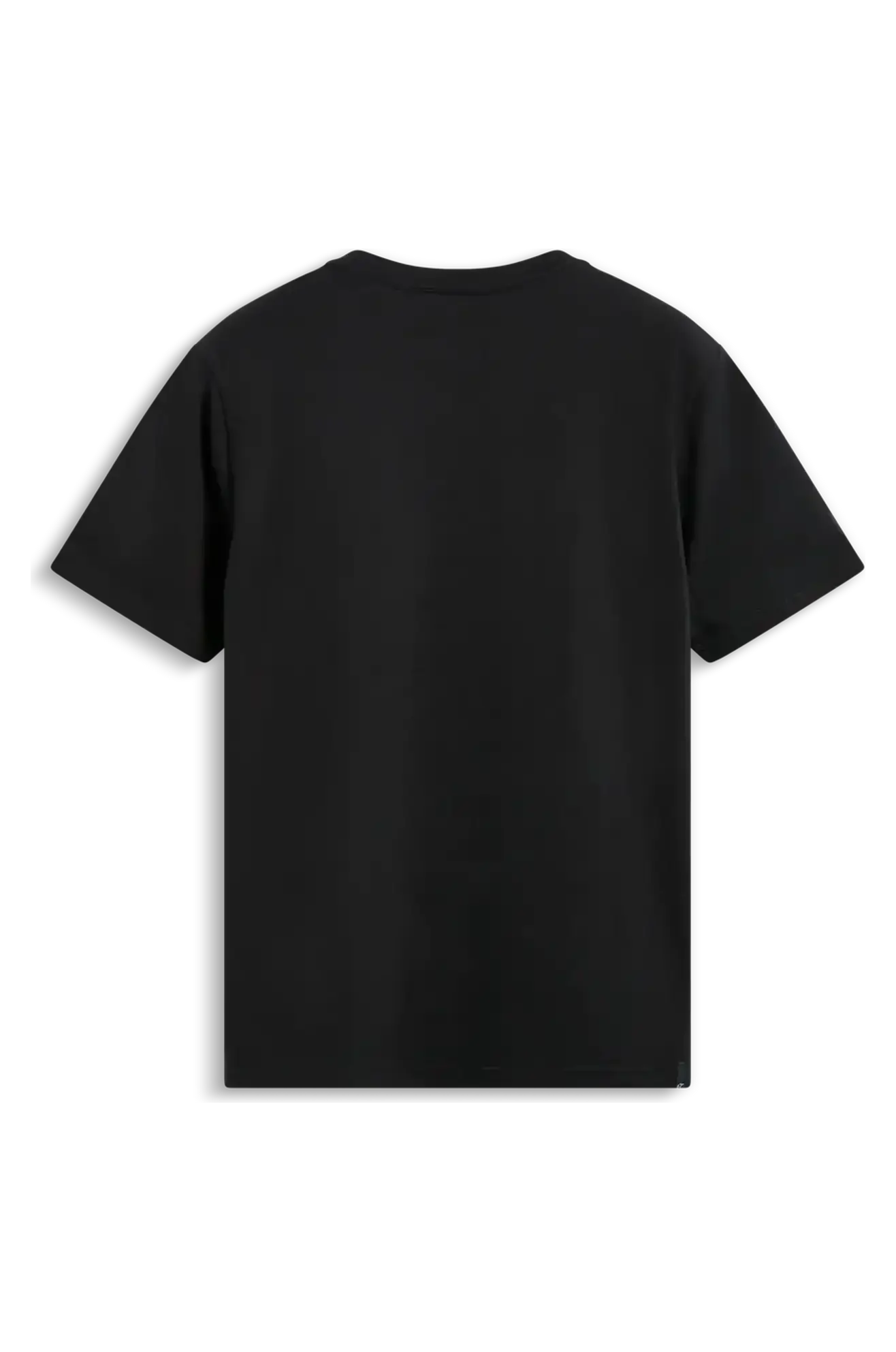 Camiseta Alpinestars Q3 CSF