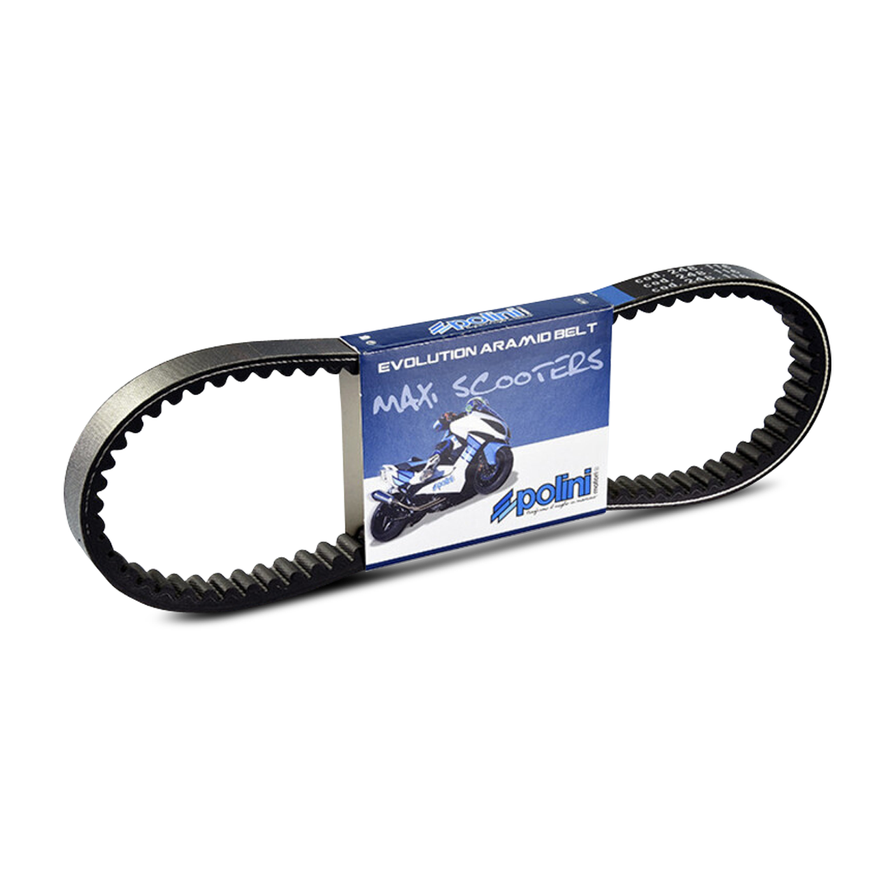 Polini Scooter Transmission Belt