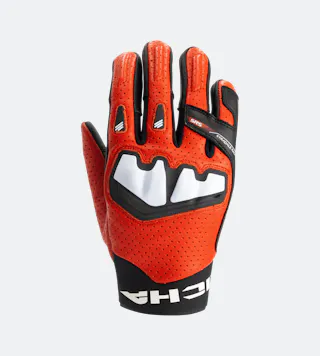 Motokindad Richa Stradale AP-X