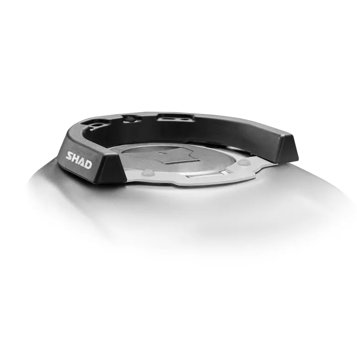 Ring Shad Click System