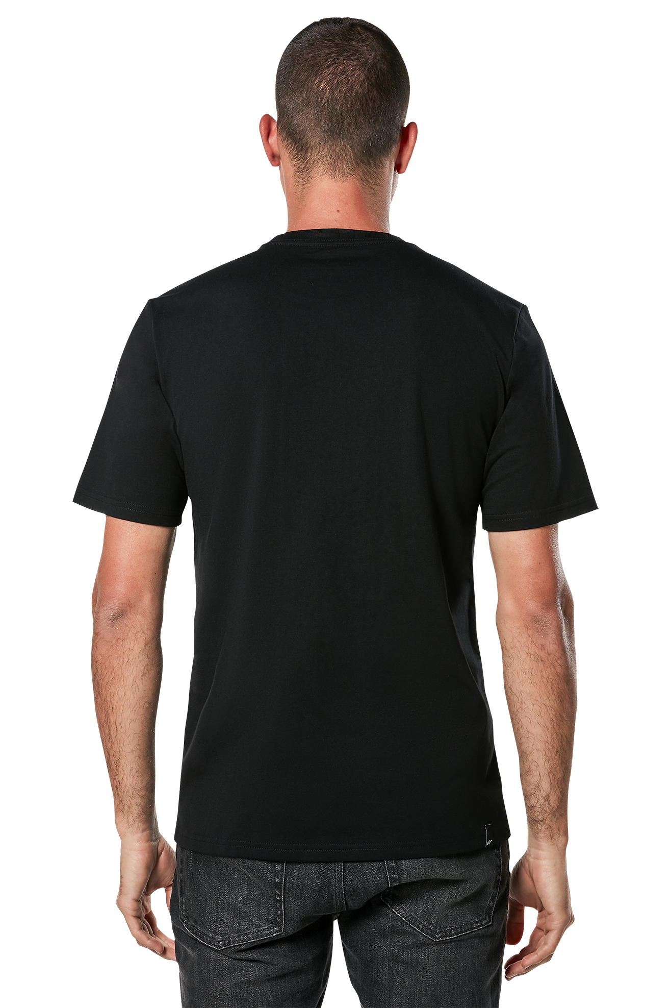Camiseta Alpinestars Horizon CSF
