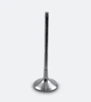 Athena Steel Exhaust Valves