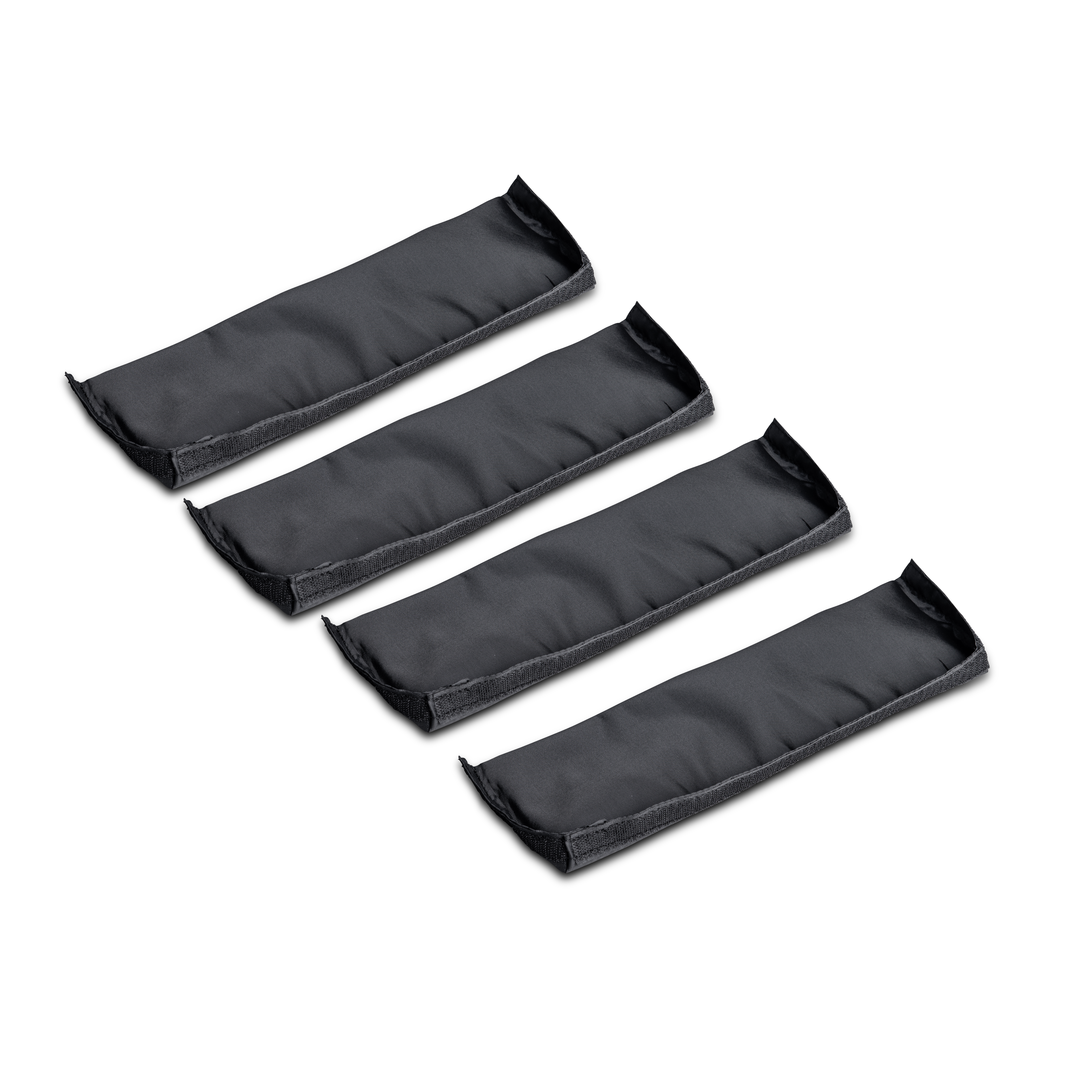 Raven Goggle Case